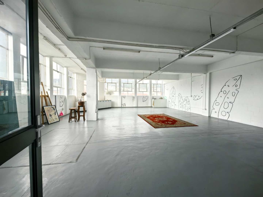 Commercial Property for Sale in Woodstock Western Cape